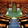 Ireland To Legalize Medical Cannabis!