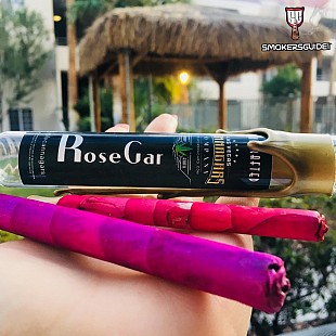 LV Cannagars rose 3
