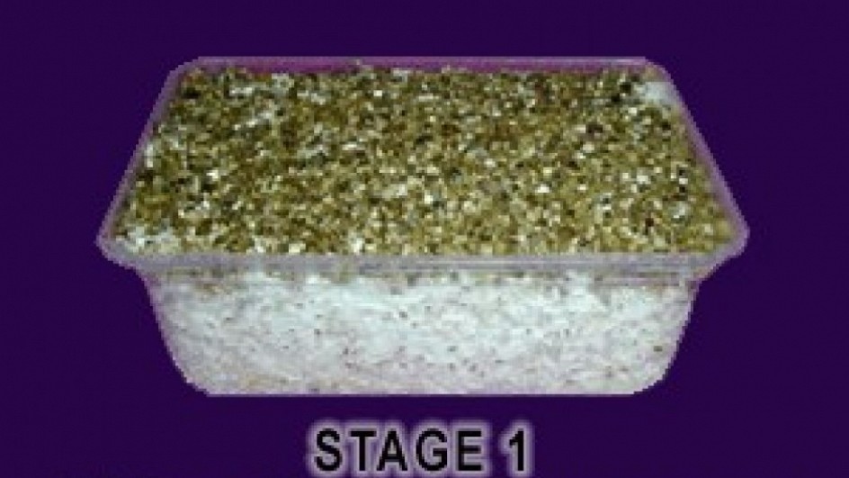 Magic Mushroom Kits