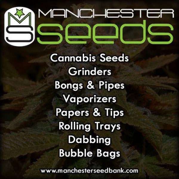 Manchester Seeds