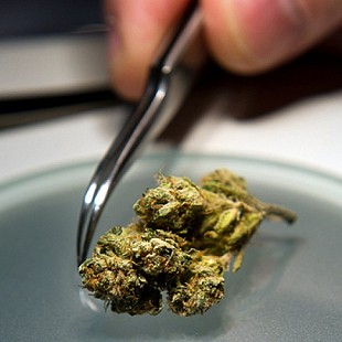 science-bud[1]