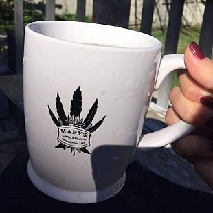 marys wellness mug[1]
