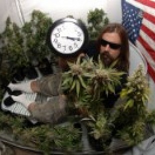 hopper nug life radio