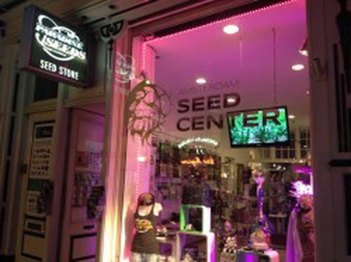 Paradise Seeds