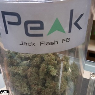 SG Peak Dispensary Denver Uncle 