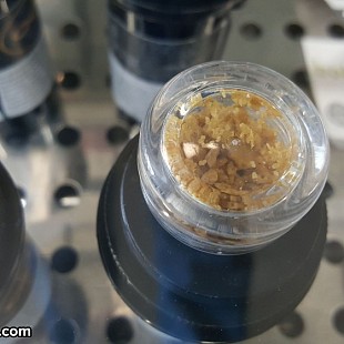 SG Peak Dispensary Denver Uncle 