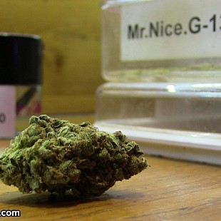 SG Prix DAmi Amsterdam Mr Nice G