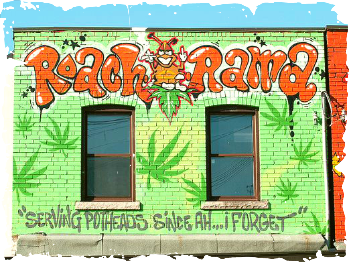 Roach-O-Rama