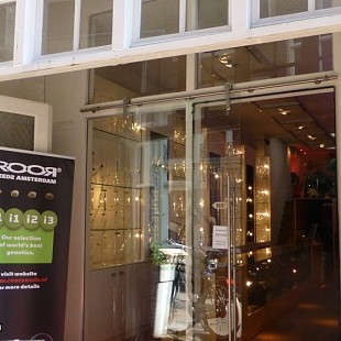 RooR-Glass-Shop-Bongs-Facade-Smo