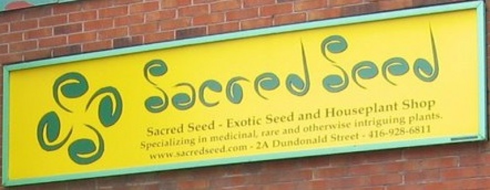 Sacred Seed