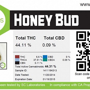 honeybud[1]
