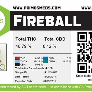 fireball results[1]