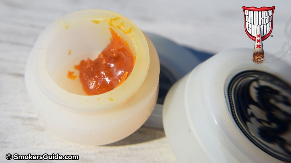 SG-Cosher-Extracts-4
