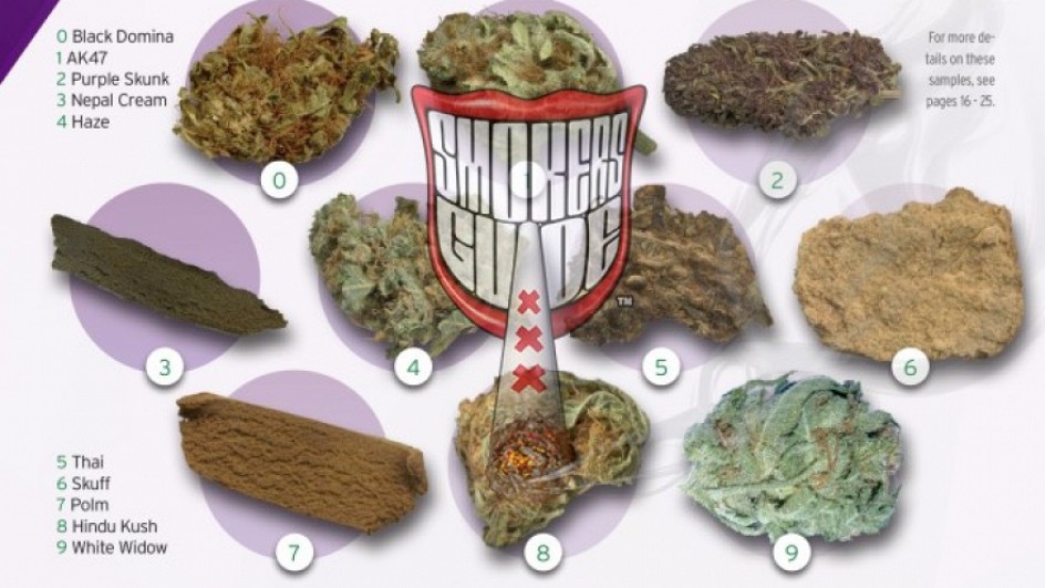 SG Flashback - Which Weed For You