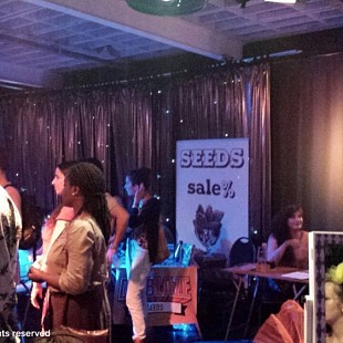 SG Social Cannabis Clubbing Amst