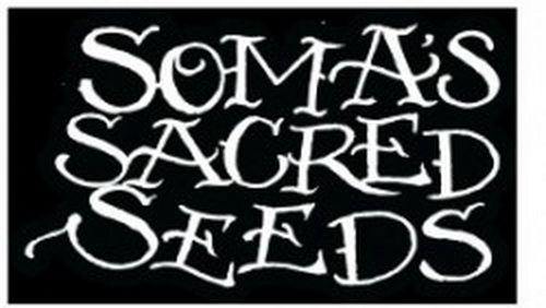 Soma's Sacred Seeds