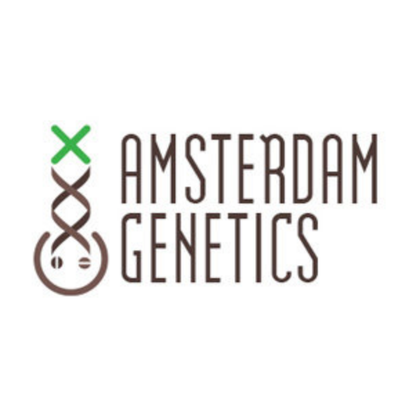 Spacetry Cannabis Edibles by Amsterdam Genetics
