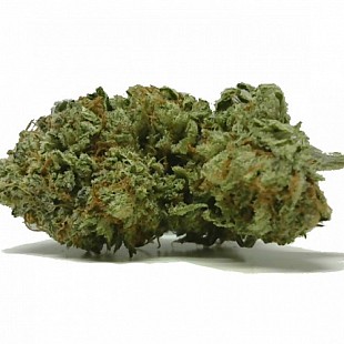 IslandPurpleKushFull-800x600[1]