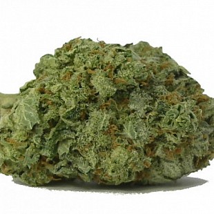 MataroBlueFULL-800x600[1]