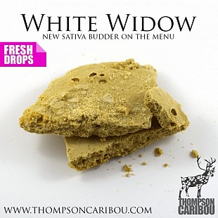 White-Widow-Budder-min-500x500