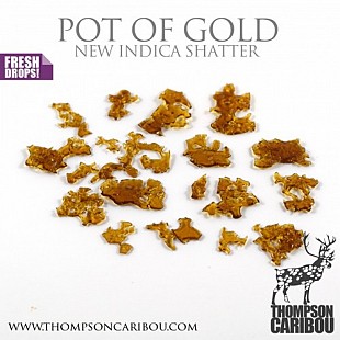 Pot-of-Gold-Add-min-500x500
