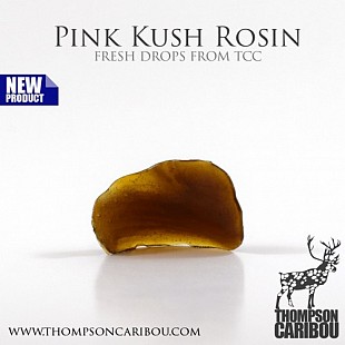 Pink-Kush-Rosin-min-500x500