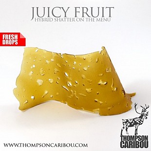 Juicy-Fruit-Shatter-min-500x500