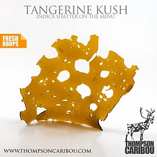 Tangerine-Kush-Shatter-min-500x5
