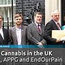 UK Politicians Call For Legal Medical Cannabis