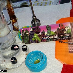 SG Denver Cannabis Cup Uncle Sto