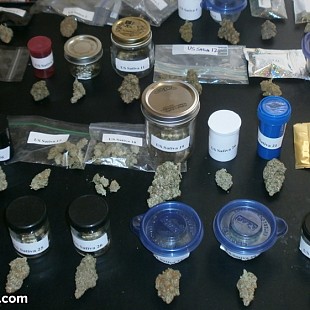 SG Denver Cannabis Cup Sativa En