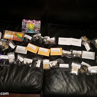 SG US NorCal Cannabis Cup 2015 E