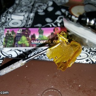 SG US NorCal Cannabis Cup 2015 E