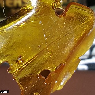 SG US NorCal Cannabis Cup 2015 E