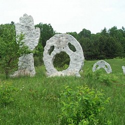 200144 4914495527 3279 n