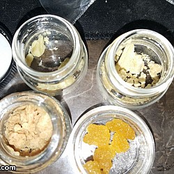 SG US NorCal Cannabis Cup 2015 E