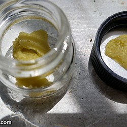 SG US Nor Cal Cannabis Cup Entri