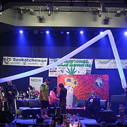 IMG 9239