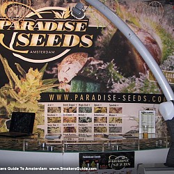 SG Cannabis Cup 2012 Paradise Se