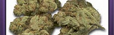 AK-47