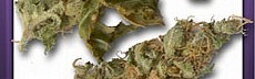 AK47