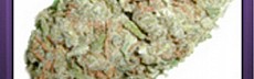 Citral
