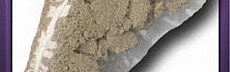 Gunpowder