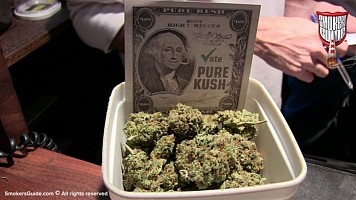 MMJ IN THE USA: THE LAW