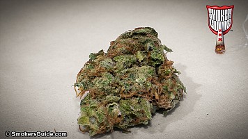 Grape Ape!