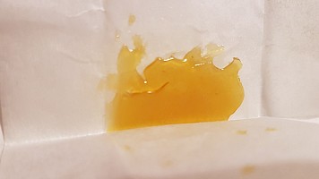 Alpine Goji Live Resin from Beezle