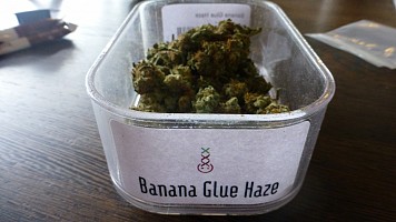 Banana Glue Haze