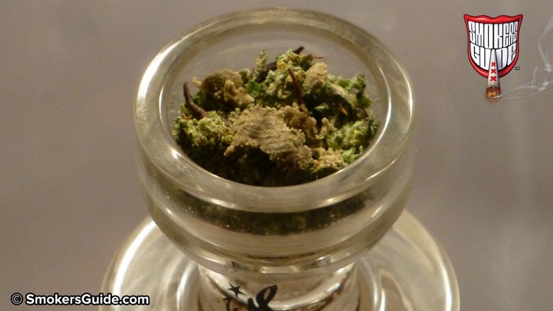 SG-Barneys-Cookies-Kush-Caramell