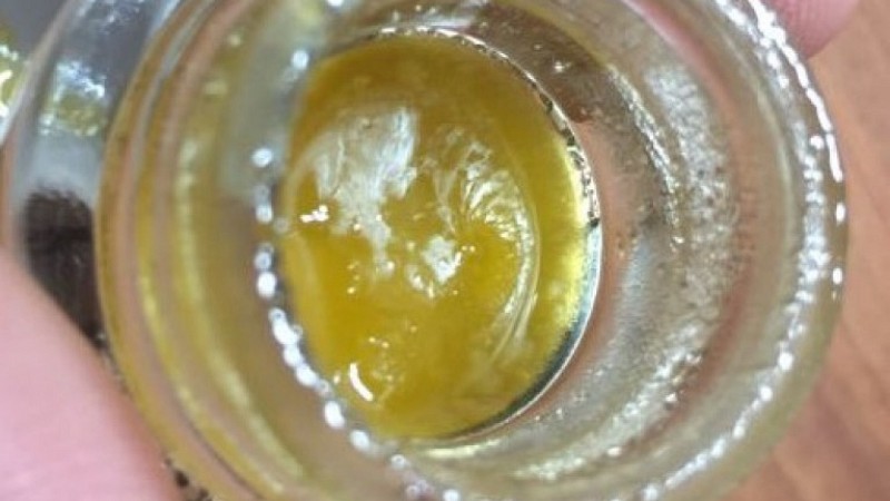 Raw Garden Sauce 4