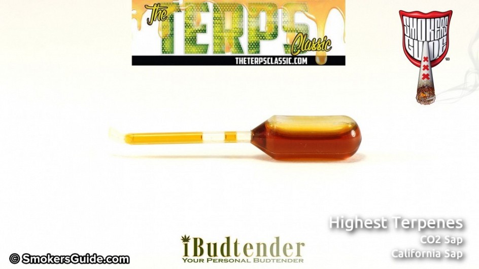 highest terps